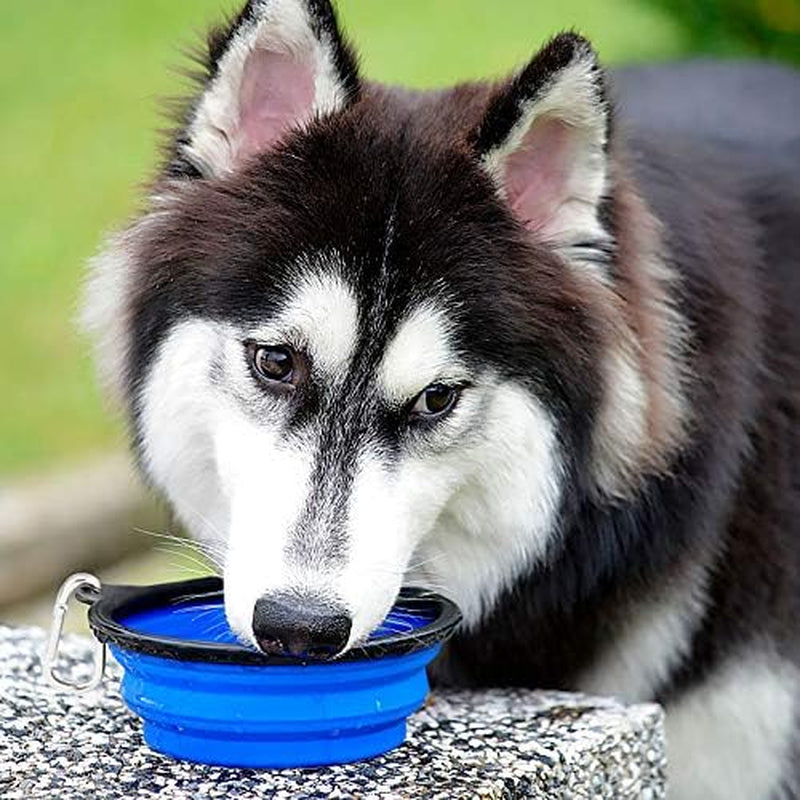 Large Collapsible Dog Bowls - 2 Pack, 34 Oz Foldable Travel Bowls for Pets, Portable Water and Food Dishes with Clasp for Travel, Hiking, and Walking (Blue and Green)