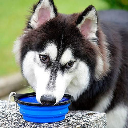 Large Collapsible Dog Bowls - 2 Pack, 34 Oz Foldable Travel Bowls for Pets, Portable Water and Food Dishes with Clasp for Travel, Hiking, and Walking (Blue and Green)