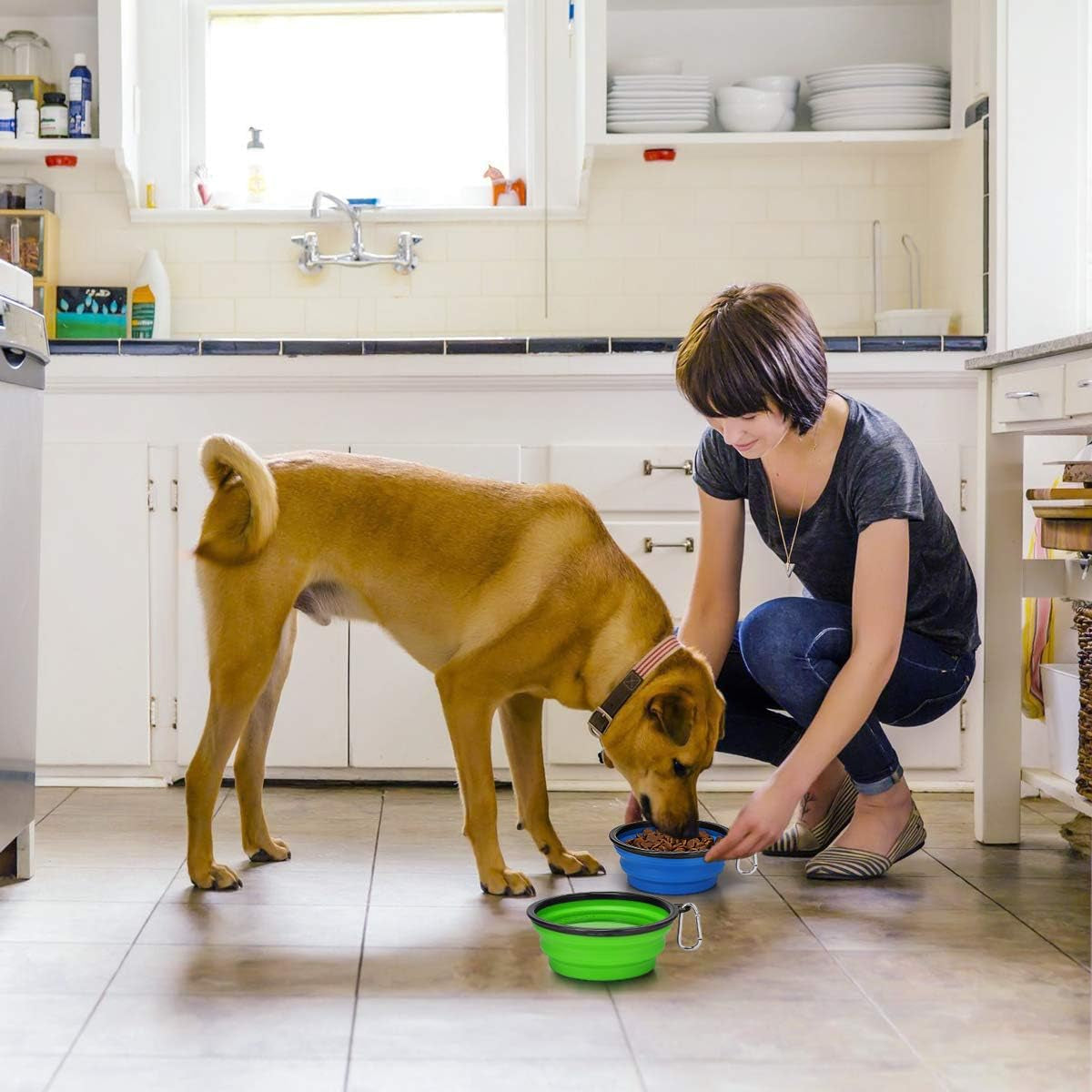 Large Collapsible Dog Bowls - 2 Pack, 34 Oz Foldable Travel Bowls for Pets, Portable Water and Food Dishes with Clasp for Travel, Hiking, and Walking (Blue and Green)