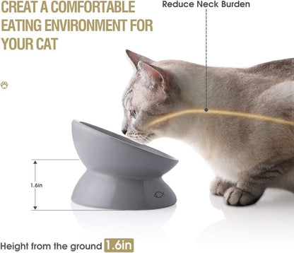 Elevated Ceramic Cat Bowls with Slanted Design for Food and Water, Porcelain Pet Feeder for Spine Protection and Backflow Prevention (Gray)