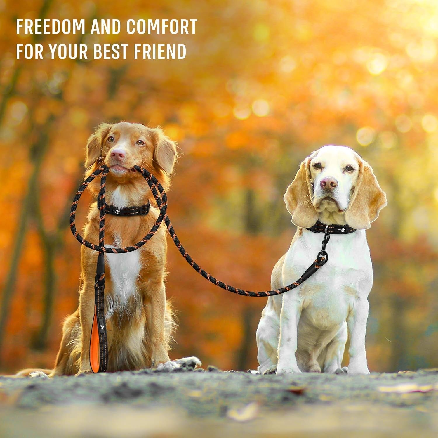 Premium Dog Rope Leash with Padded Handle and Reflective Threads for Training, Running, and Walking - Suitable for Small, Medium, and Large Dogs