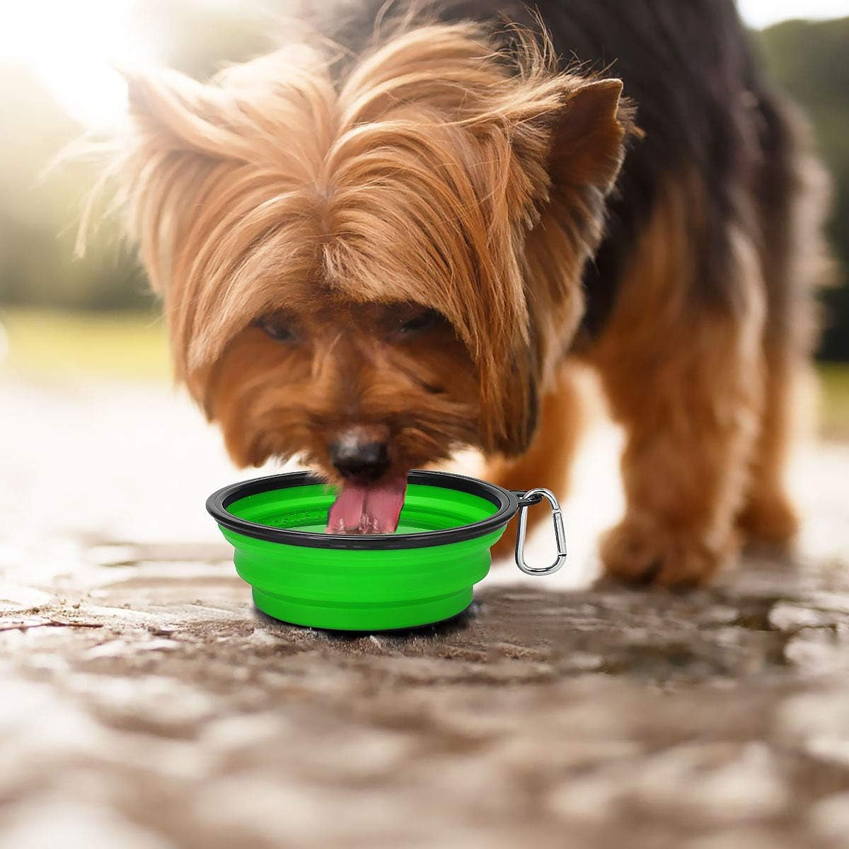 Large Collapsible Dog Bowls - 2 Pack, 34 Oz Foldable Travel Bowls for Pets, Portable Water and Food Dishes with Clasp for Travel, Hiking, and Walking (Blue and Green)