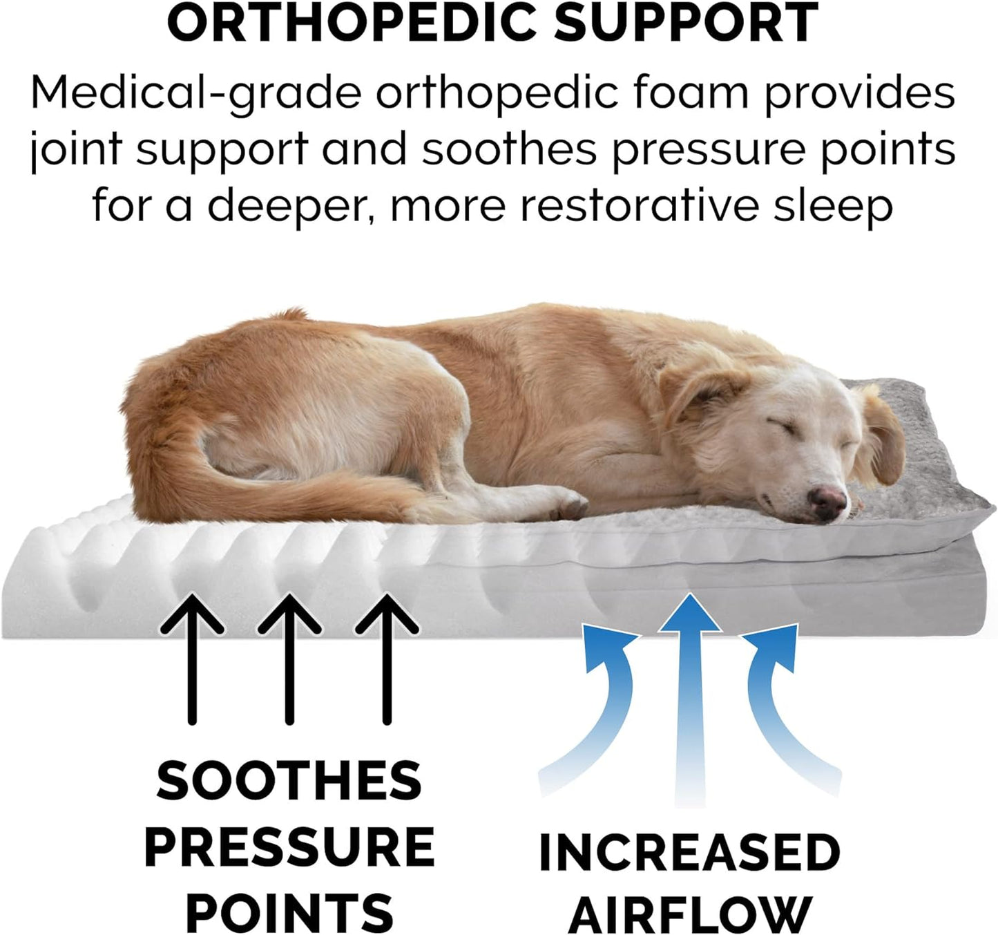 Orthopedic Dog Bed for Medium and Small Breeds with Removable Washable Cover and Pillow Cushion Top, Suitable for Dogs up to 35 lbs - Minky Plush and Suede Mattress in Titanium Gray, Medium Size