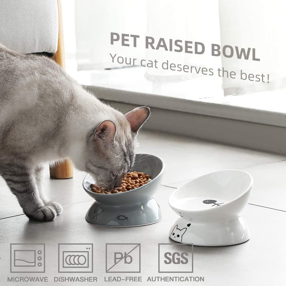 Elevated Ceramic Cat Bowls with Slanted Design for Food and Water, Porcelain Pet Feeder for Spine Protection and Backflow Prevention (Gray)